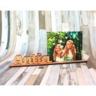 17-panel11.5x11.5con-base-24.5x3y-nombre
